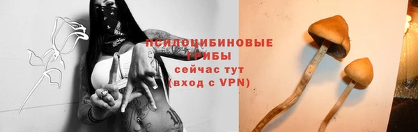 PSILOCYBIN Арсеньев