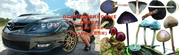 PSILOCYBIN Арсеньев